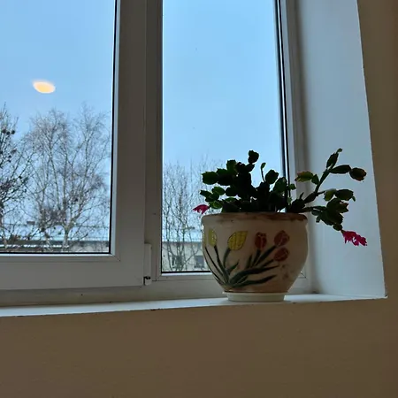 Cozy Apartement *
